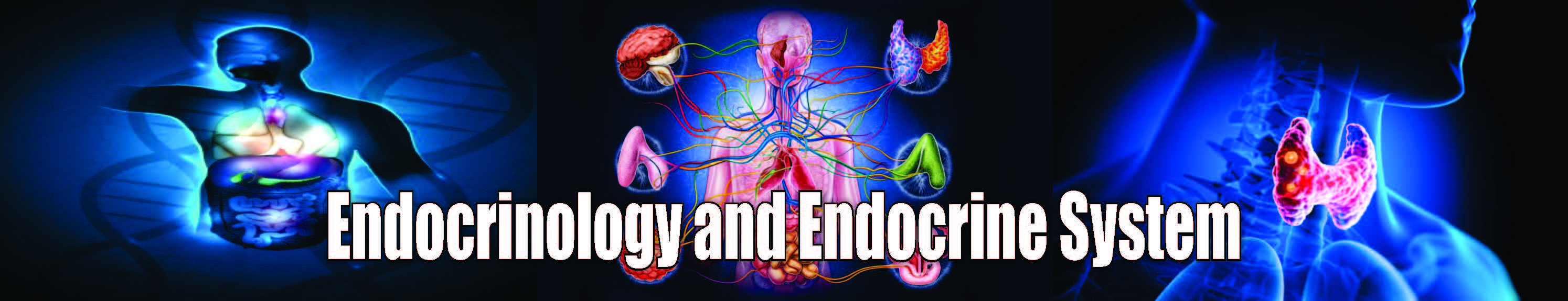Endocrinology and Endocrine System Endocrinology and Endocrine System