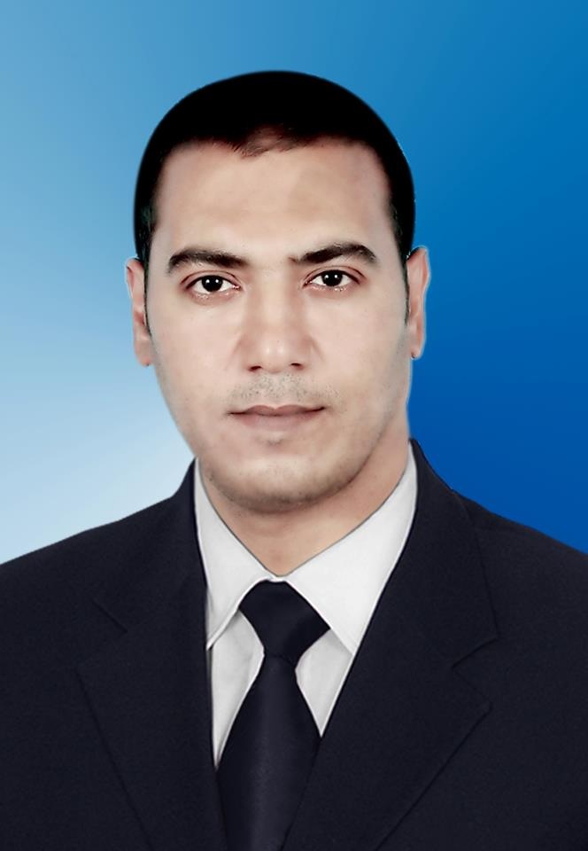 Abdelfattah Mohamed Mansour
