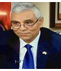 Abdelmonem Awad Hegazy