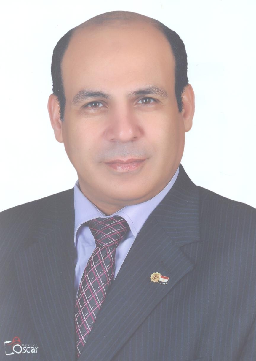 Elsayed Ahmed Elnashar Elsayed Ahmed Elnashar