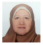 Hadia Hassan Selim