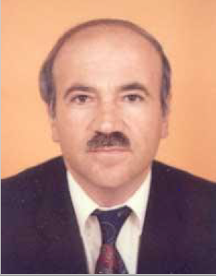 Ioannis P. Stavroulakis
